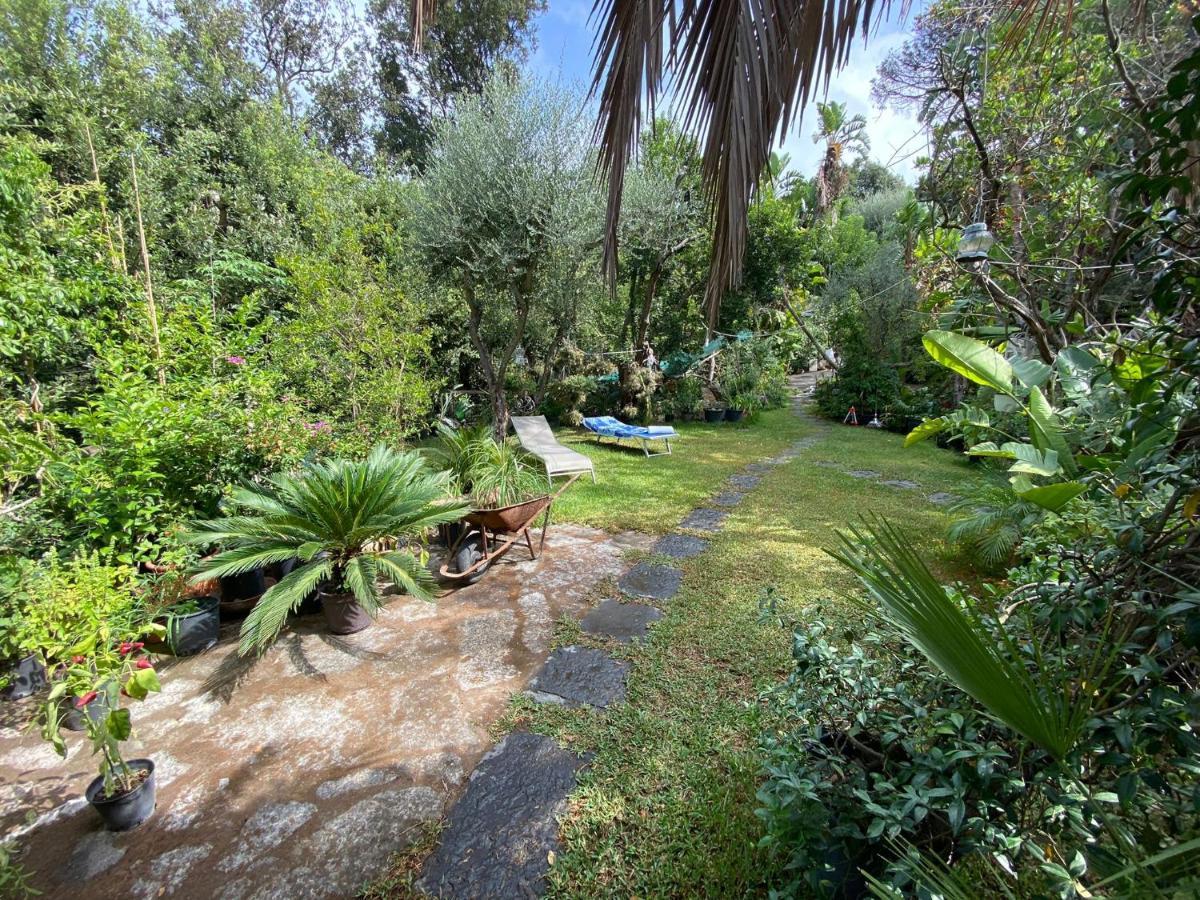 Forio di Ischia Le Dimore Di Zaro - Green Paradise מראה חיצוני תמונה