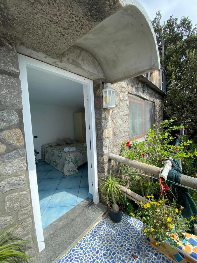 Forio di Ischia Le Dimore Di Zaro - Green Paradise מראה חיצוני תמונה