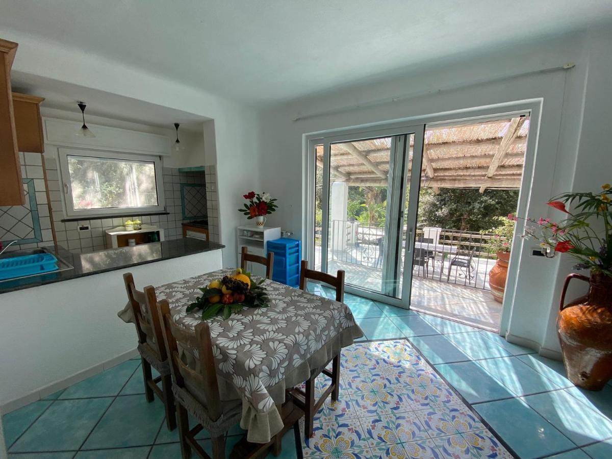 Forio di Ischia Le Dimore Di Zaro - Green Paradise מראה חיצוני תמונה