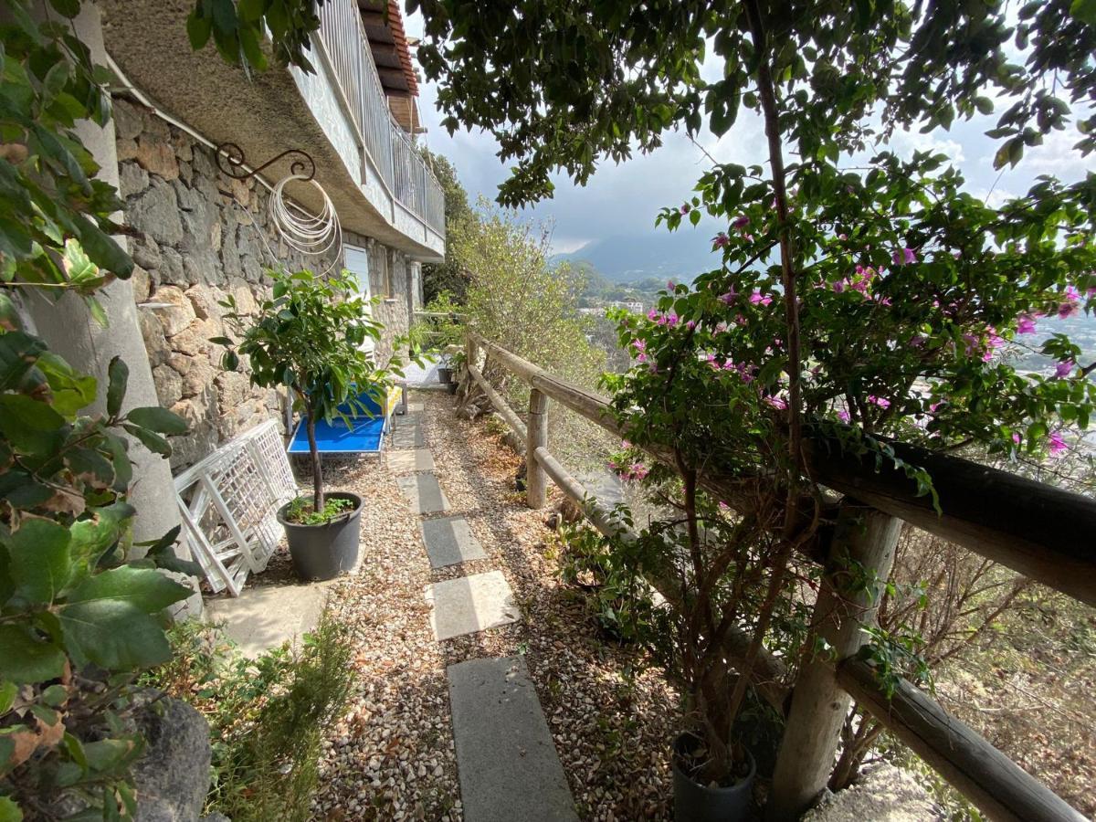 Forio di Ischia Le Dimore Di Zaro - Green Paradise מראה חיצוני תמונה