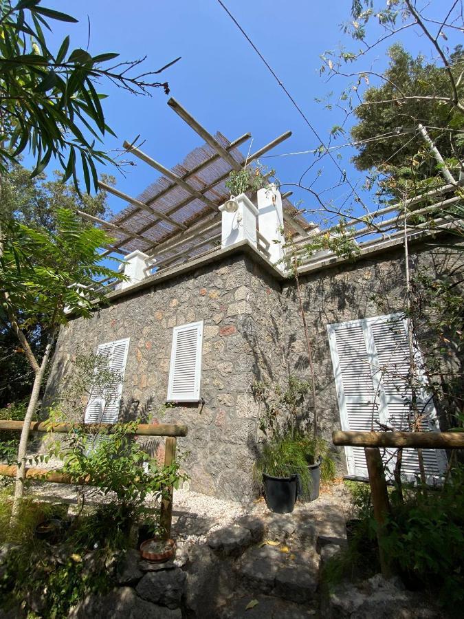 Forio di Ischia Le Dimore Di Zaro - Green Paradise מראה חיצוני תמונה