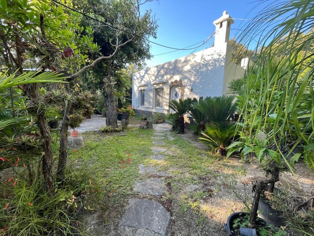 Forio di Ischia Le Dimore Di Zaro - Green Paradise מראה חיצוני תמונה