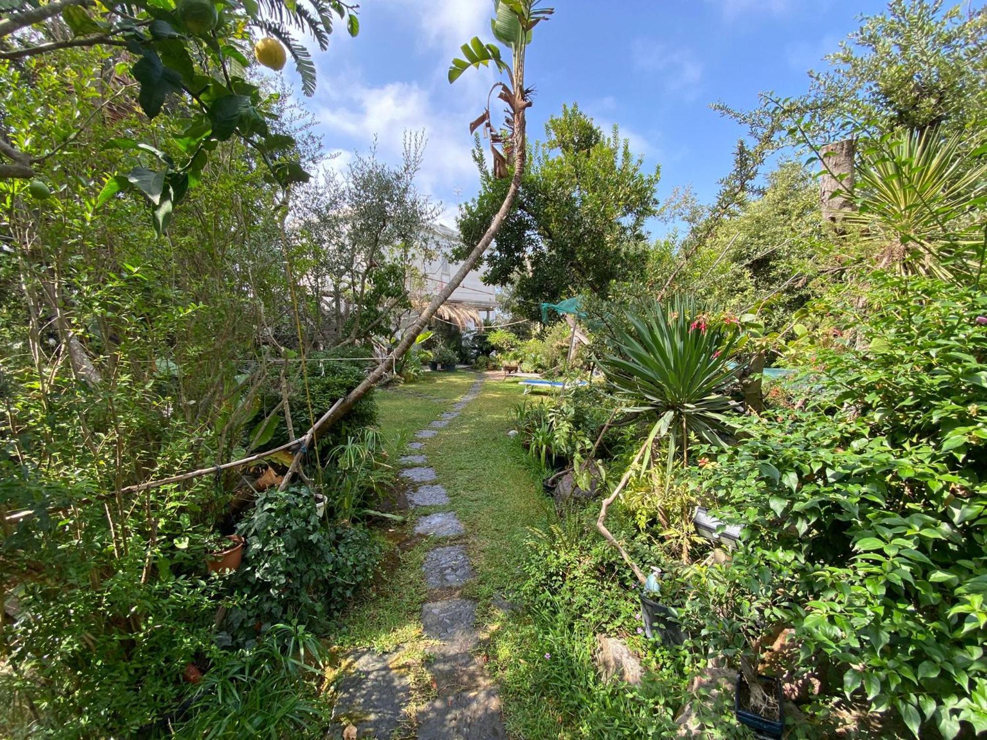 Forio di Ischia Le Dimore Di Zaro - Green Paradise חדר תמונה