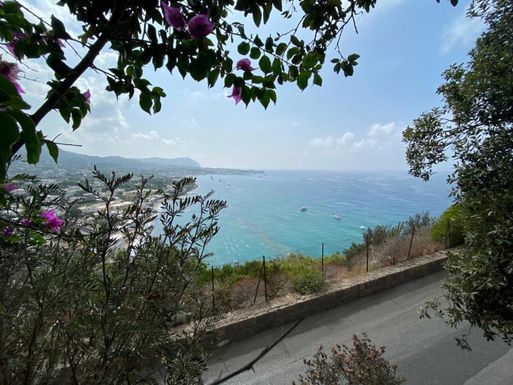 Forio di Ischia Le Dimore Di Zaro - Green Paradise מראה חיצוני תמונה
